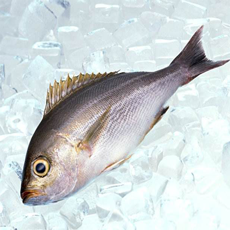 Imported seafood, frozen fish, Ukrainian food