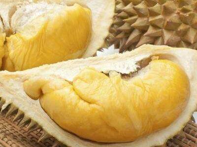 Fresh Durian Fruits