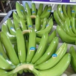 Freshly Farm Pack Bananas (Philippines)