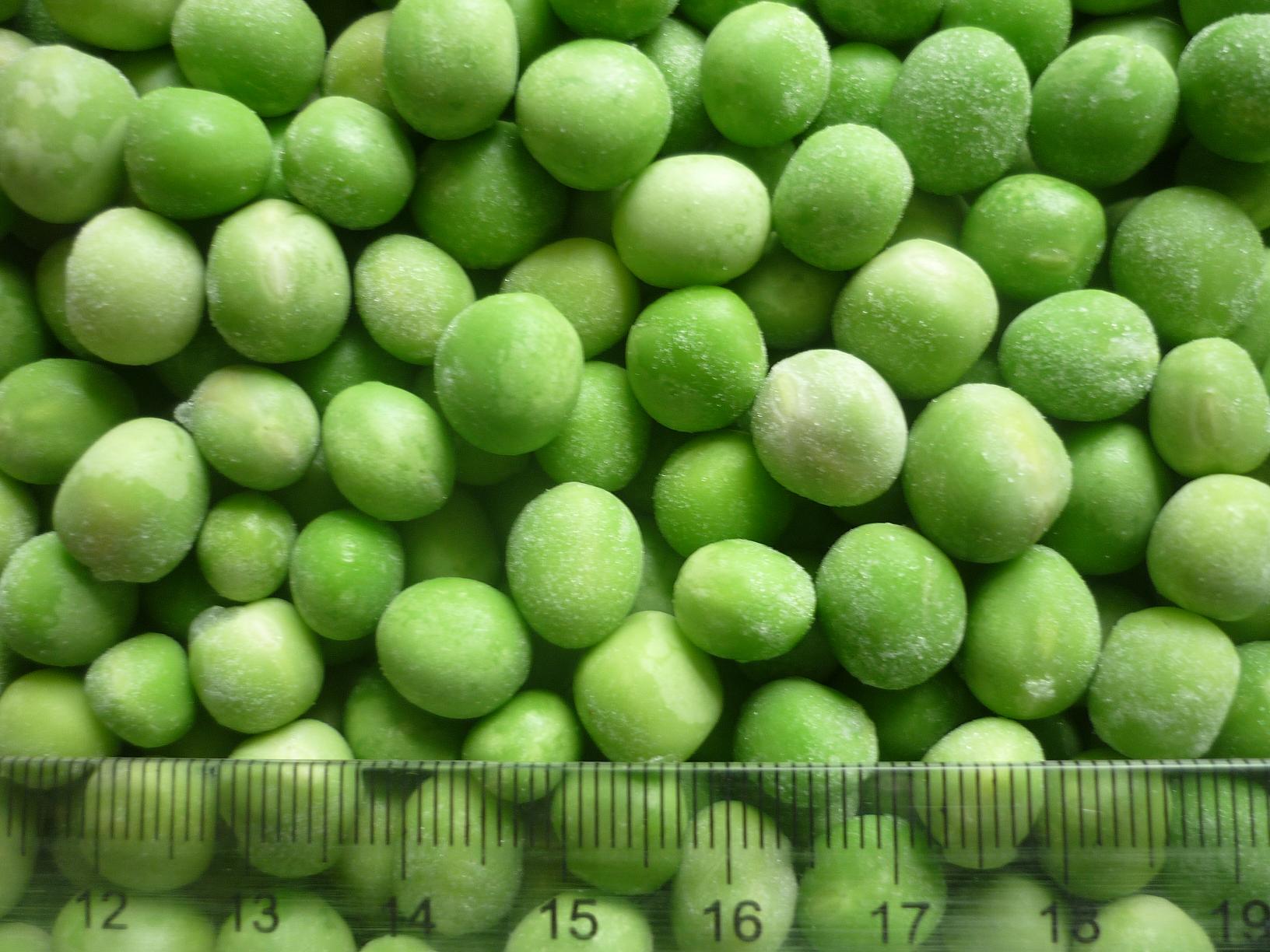 A.IQF Frozen Green Peas