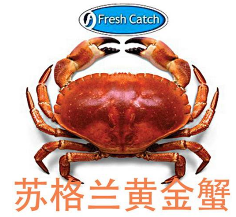 Buy English Golden Crab/Chaceon fenneri; FreshCatch Scottish Bread Crab