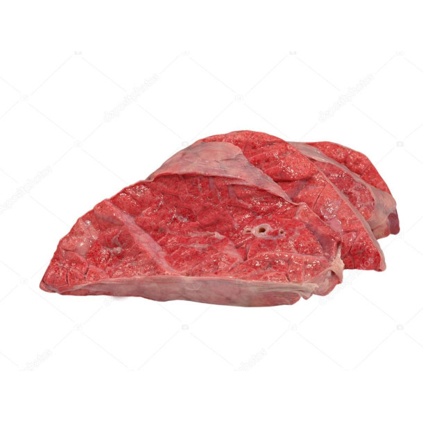 Purchase imported frozen cow's lungs