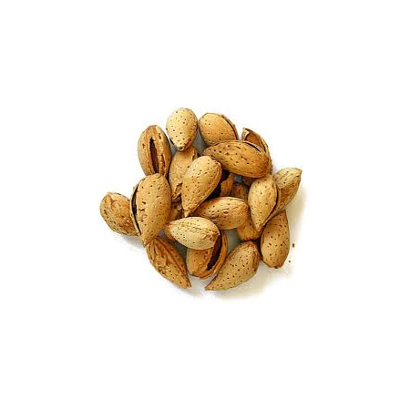 Roasted peanuts，Mushrooms, berries  nuts and Peanut
