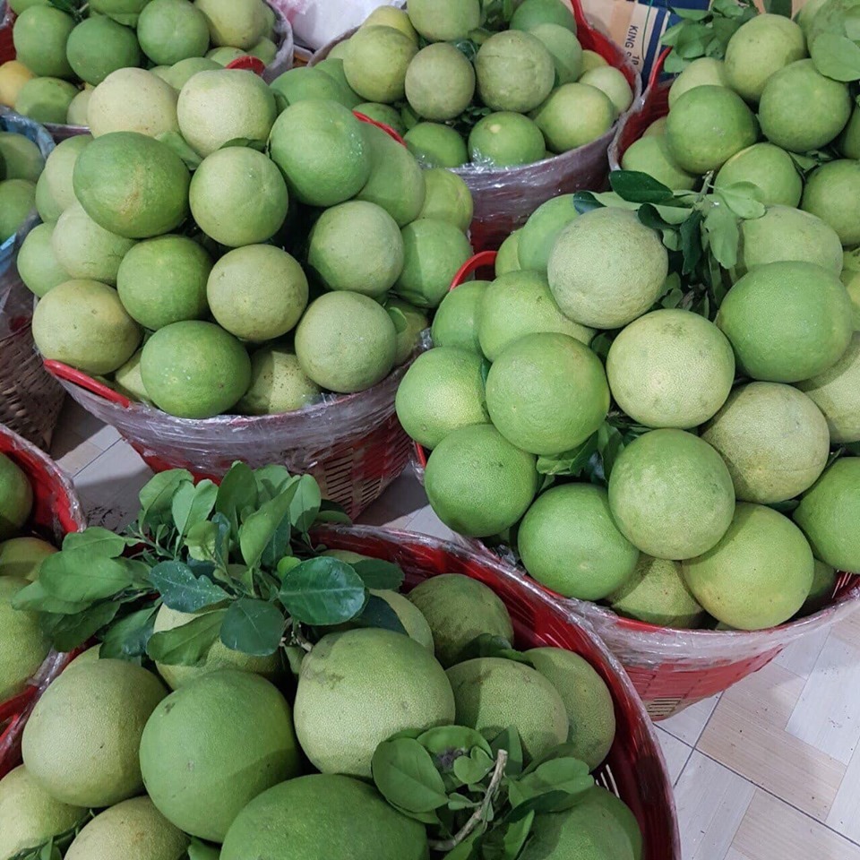 Offer Vietnamese Polemo Fruit