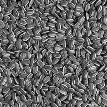 Sunflower seeds, melon seeds, raw or cooked seeds