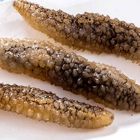 Supply Indonesian sea cucumber, wild deep sea dry goods, seafood dry goods and other health food