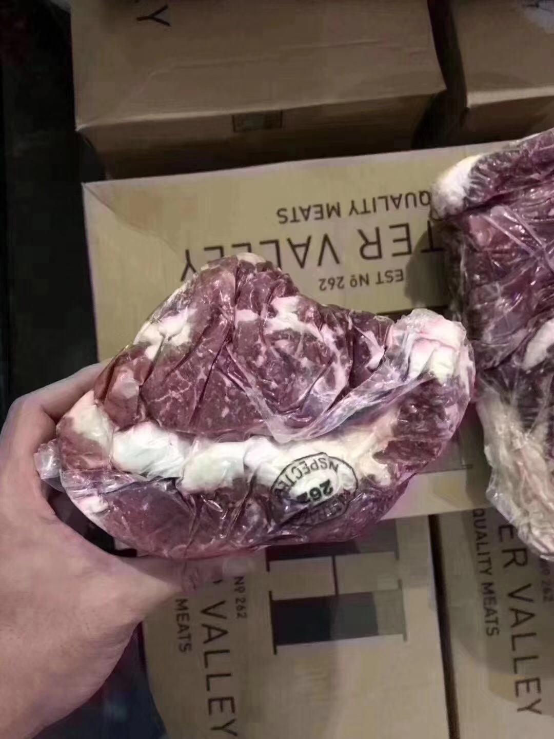 Supply Australia 262 YP top brain steak
