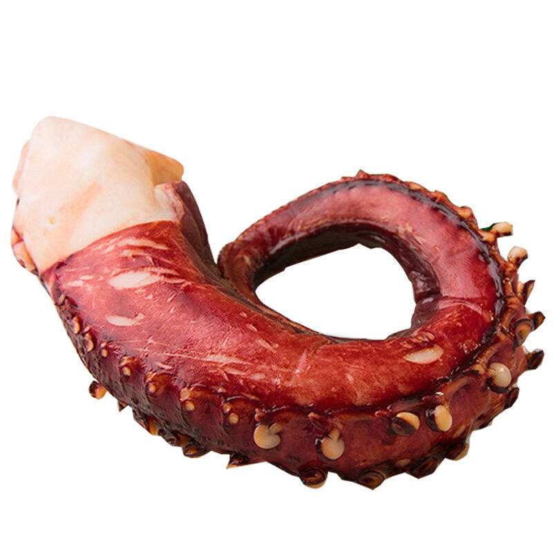 Sushi Big Octopus Chlorella Vulgaris Cooked Frozen Fresh Seafood