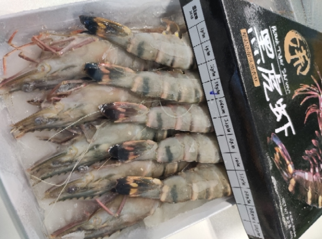 Vietnamese Black Tiger Shrimp