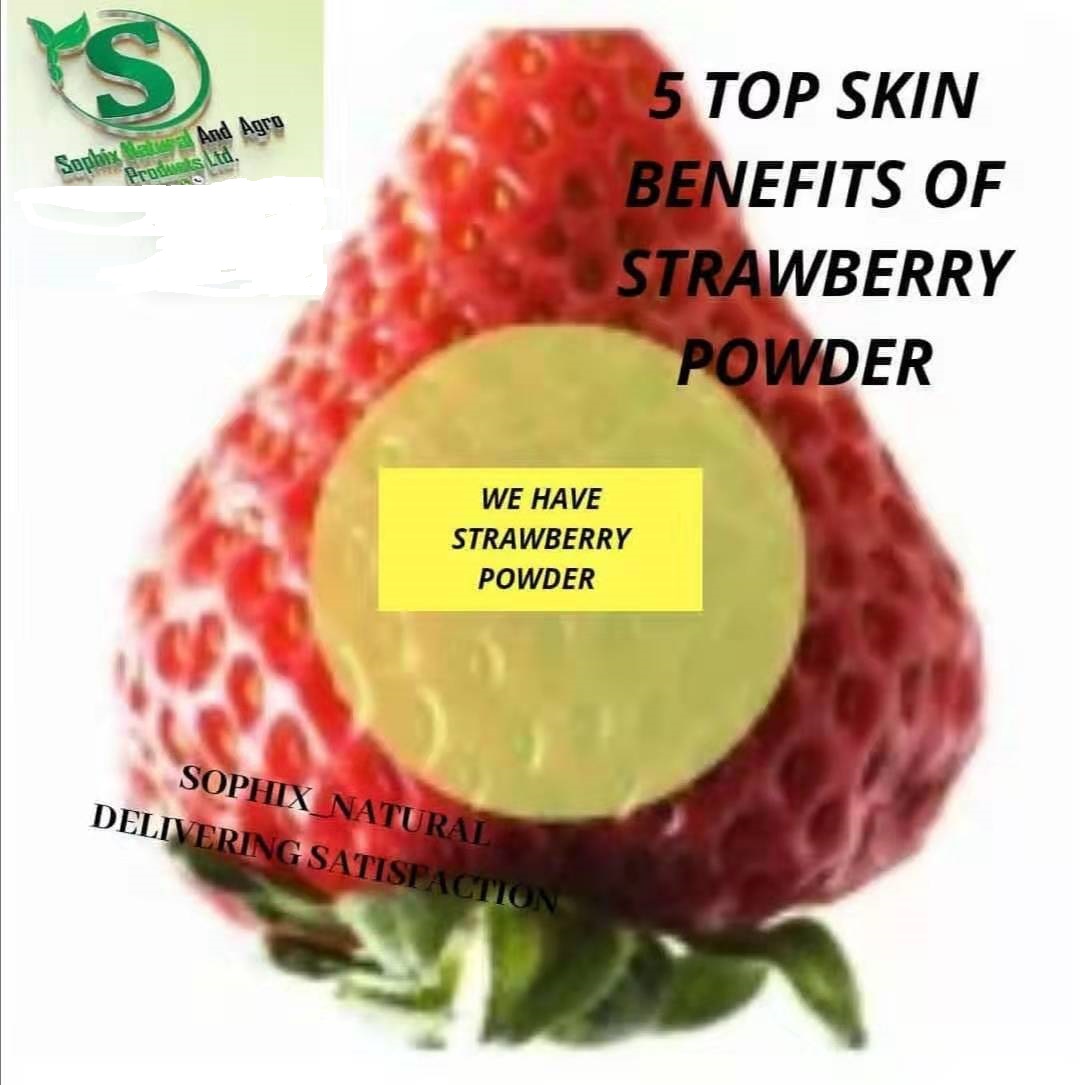 Supply strawberry powder from Nigeria