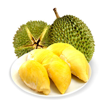 High quality Durian