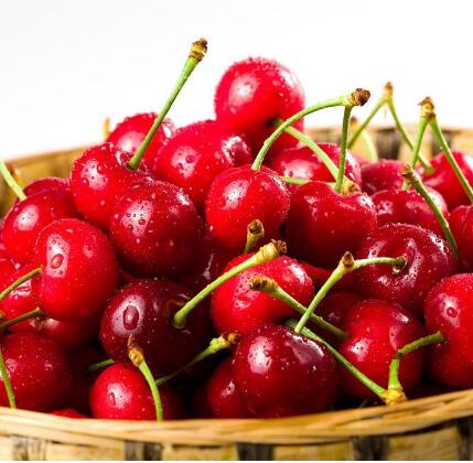Please give a quotation of Cherry