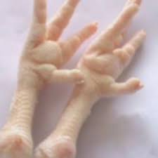 Grade AA Chicken Feet / Frozen Chicken Paws Brazil/Chicken Wings with SIF