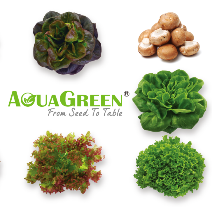 Aqua Green-fresh, delicious, healthy and peace of mind salad greens
